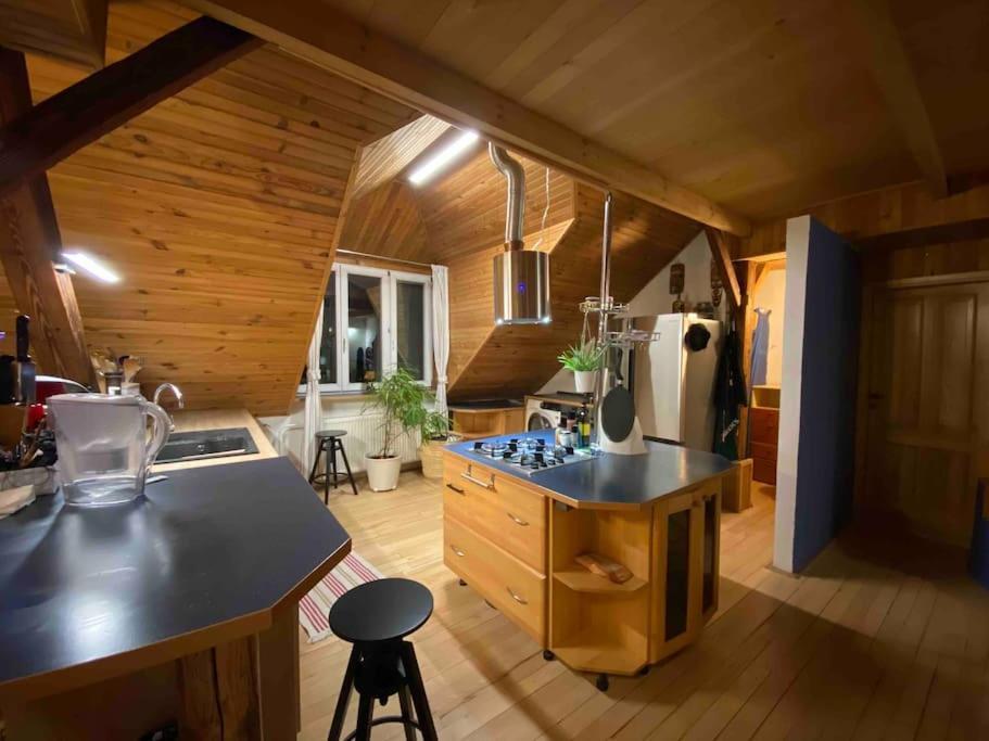 Rooftop 180M2 Loft With Private Sauna, Bratislava Ngoại thất bức ảnh